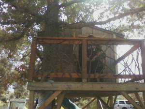 tree fort railing